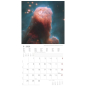 Preview: Kalender SPACE 2026