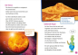 Preview: WAS IST WAS Erstes Lesen - PLANETEN