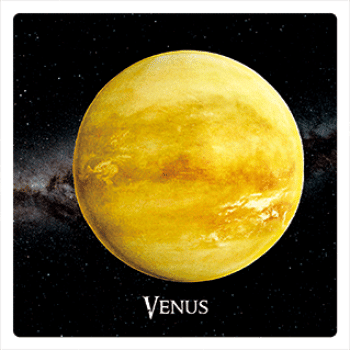 Preview: 3D-Magnet Venus