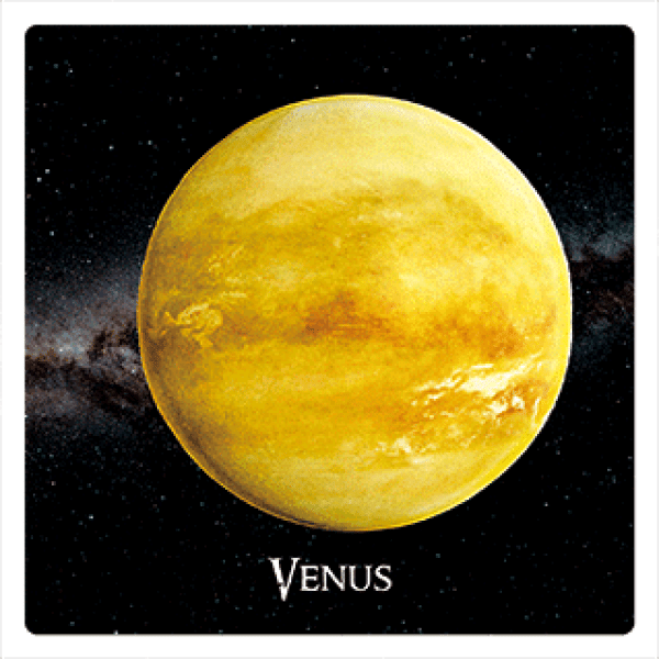 3D-Magnet Venus